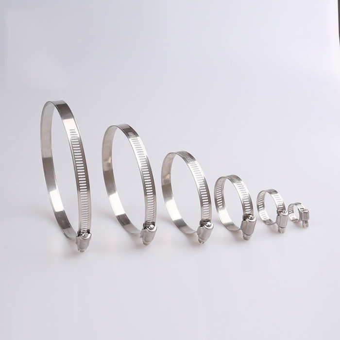 中美不銹鋼喉箍廠家